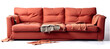 a torn classic sofa