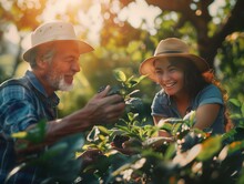 A Man And A Woman Are Smiling And Holding Blackberries. The Man Is Wearing A Straw Hat And The Woman Is Wearing A Straw Hat