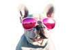 © akk png - dog with sunglasses