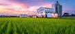 Agricultural Silos - Building Exterior, Storage and drying of grains, wheat, corn, soy, sunflower against the blue sky with rice fields. Beautiful scenic wide capture of an agricultural storage silos