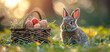 Cute rabbit beside a basket of Easter eggs on a sunny meadow with soft, warm lighting.