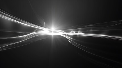 Wall Mural - black and white abstract background. the image is full of smooth curves and flowing lines. the overa