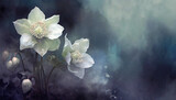 Fototapeta Fototapeta w kwiaty na ścianę - Biały kwiat ciemiernik, zielone tło, tapeta w kwiaty