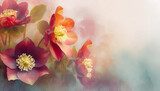 Fototapeta Kwiaty - Pomarańczowy i czerwony kwiat ciemiernik, tapeta w kwiaty