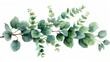 This watercolor bouquet features green eucalyptus leaves and branches. The design is suitable for cards, wedding invitations, posters, save the date cards, and greetings cards.