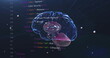 Image of human brain and data processing