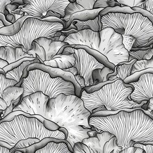 A Detailed Black And White Drawing Depicting A Cluster Of Various Mushrooms, Showcasing Their Different Shapes And Sizes
