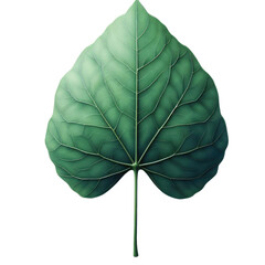 Wall Mural - Isolated Green Leaf on a Clear PNG Canvas, Generative AI