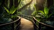 bridge running through a tropical rain forest