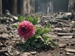 Nature will find a way. Flower growing from the dust and rubble