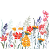 Fototapeta Dmuchawce - Fashion vector floral illustration with garden and meadow flowers