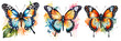 Set of butterfly collection colored. Set of beautiful butterflies watercolor isolated on white background. Orange, pink, green and blue, butterfly vector illustration