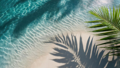 Wall Mural - a palm tree is laying on the sand next to the ocean. the water is calm and the palm tree casts a sha