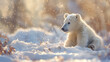 Cute baby polar bear in snow winter, Polar she-bear with cubs, Generative Ai 
