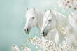 Two white horses  surrounded the white spring flowers on a mint background