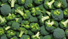 Seamless Repeatable And Tilelable Texture Pattern Of Fresh Broccoli Vegetable 