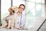 Fototapeta Zwierzęta - Veterinarians doctors examination of a cute domestic dog