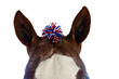 Horse ears Patriotic Horse USA Patriotic Horse with red white and blue braids and glitter star flag