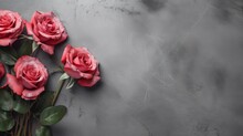 Soft Blush Red Roses On Slate Grey Background. Copy Space. Space For Text.