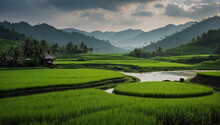 Farmers Working In Lush Green Rice Fields At Sunset, Green Rice Paddies, With A Backdrop Of Rolling Hills As The Sun Sets.