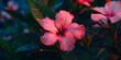 Exotic pink tropical climate flower