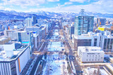Fototapeta Na sufit - 冬の北海道札幌市、さっぽろテレビ塔から見た雪まつり会場で賑わう大通公園の風景
