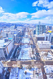 Fototapeta Na sufit - 冬の北海道札幌市、さっぽろテレビ塔から見た雪まつり会場で賑わう大通公園の風景
