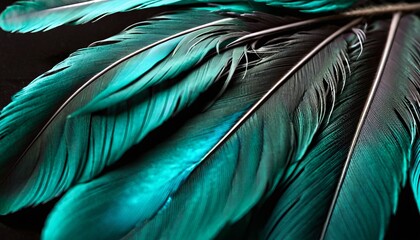 Wall Mural - Blue feather, close-up. dark background, bright colors. Concept exotic texture of parrot, background, fashion, print or card design.