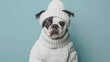 Blank mockup of a trendy and fashionable pet sweater with a cozy and warm knit fabric.