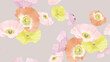 Floral seamless pattern, colorful poppy flowers on light brown background