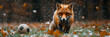 Energetic Fox Playing Soccer on a Grassy Field,
 Image of Wild Fox Animal in Forest During Snowfall playing with football
