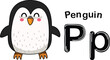 Illustration Isolated Animal Alphabet Letter P-penguin