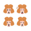 Set of character cute poodle dog faces showing different emotions for design.