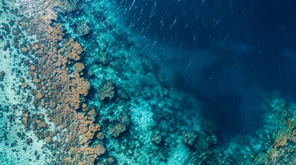 An aerial view of a large section of coral reef now ghostly white and barren due to a recent bleaching event surrounded by crystal clear blue water.