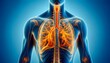  a medical illustration of a human's upper body highlighting the respiratory system, including the trachea, bronchi, and lungs, in a vibrant orange against a blue background. 3d illustration.