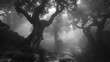 Enchanted forests shrouded in perpetual mist