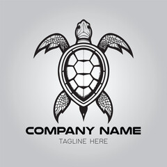 Turtle logo company design vector image on the white background