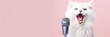 © FATHOM - Happy cat singing into a microphone