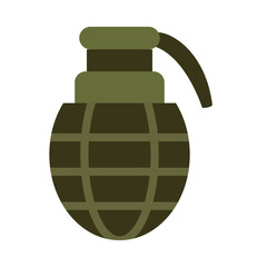 Wall Mural - Grenade Glyph Vector Flat Icon Design