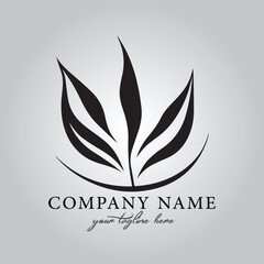 Leaf logo company design vector image on the white background