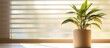 A house plant in a pot is placed on a window sill, receiving sunlight and adding greenery to the indoor space.