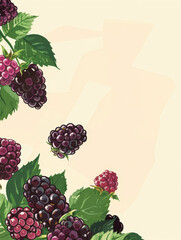 Poster - Illustrated blackberries and leaves on a textured paper background.