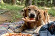 golden retriever eating a slice of pizza on a picnic blanket