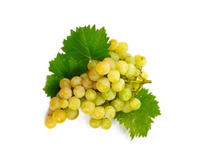 Wall Mural - Ripe green grapes with leaves. Isolated on white