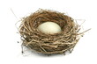 © Sanja - Birds Nest with egg isolated on white.