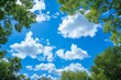 Blue sky with white clouds and green trees in the park,  Nature background