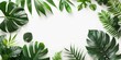 Tropical leaves frame on white background with copy space for design, top view.