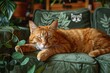Cute cat resting on a sofa