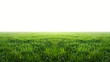 An isolated green grass field on a white background