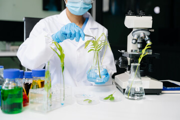 biologist taking experiment with plants working in biochemistry laboratory.